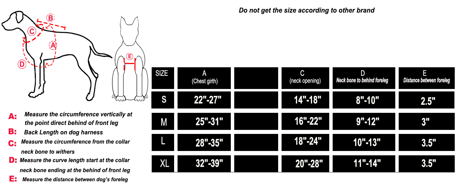 W6 dog harness