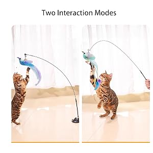 cat toys