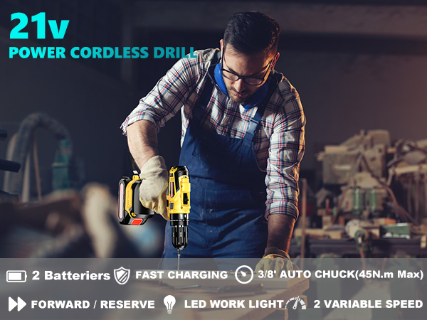 Cordless Drill with 2 Batteries and Charger