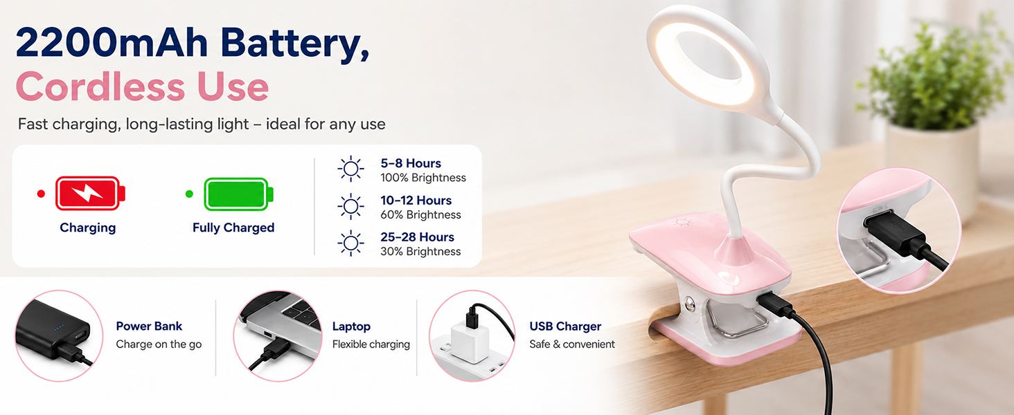 USB Rechargeable Reading Light 