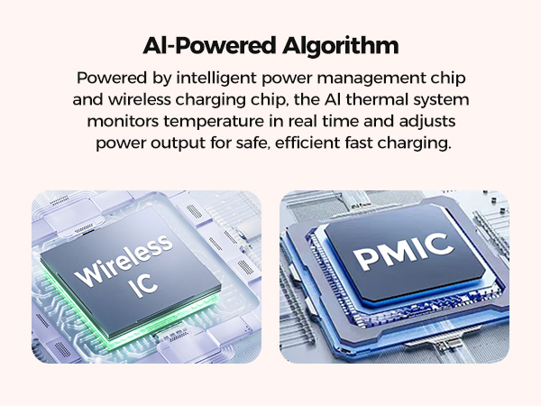 Advanced Dual-Chip