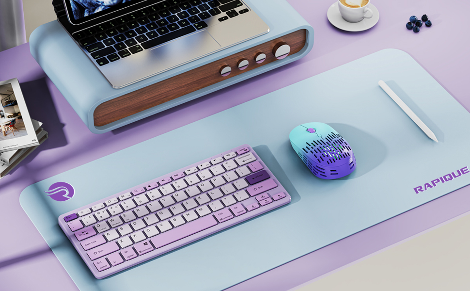 RAPIQUE R-03 Gradient wireless mouse A+??