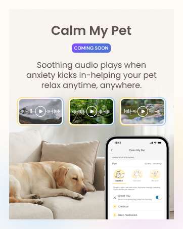 Calm my pet
