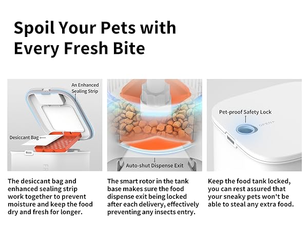 automatic cat feeder