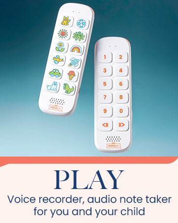 VoiceGift Voice Recorders, audio note takers