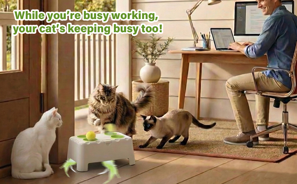 happy code electric cat teaser