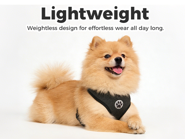 dog harness small sized dogs