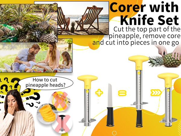 Pineapple Cutter