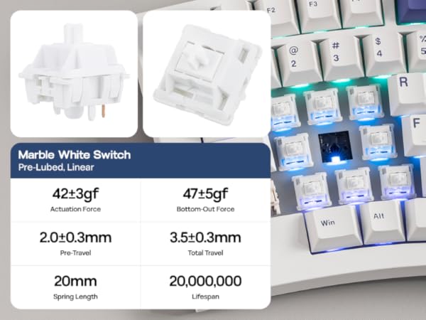 Alice98 White Ver.2