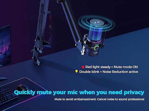 Quickly mute your mic