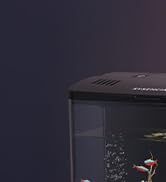 fish tank accessories