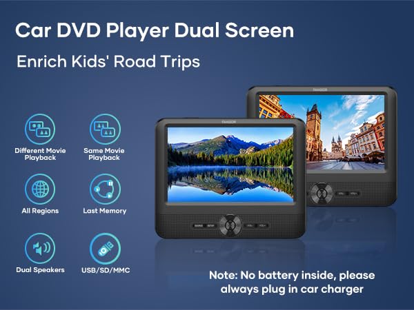 dual car dvd player