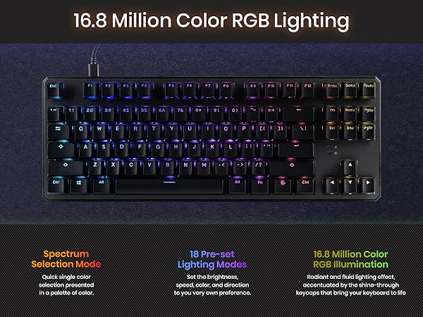 Tecware Phantom Plus 87 RGB mechanical keyboard 18 lighting modes compact gaming keyboard