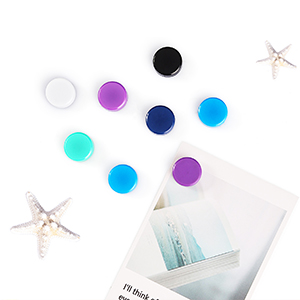 refrigerator magnets for adults