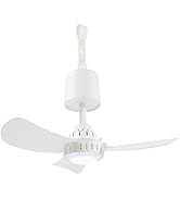 Treva Rechargeable 15 in Canopy Fan Easy to Assemble Portable Ceiling Fan For Your Outdoor Canopy...