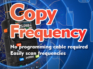 One Key Frequency Copy