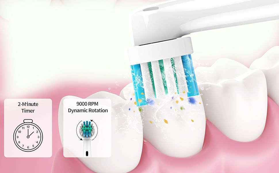 Your Daily Smile Partner