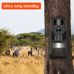 Hunting Camera