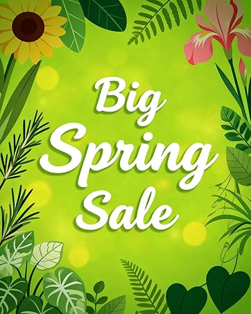 Big Spring Sale Dehumidifiers