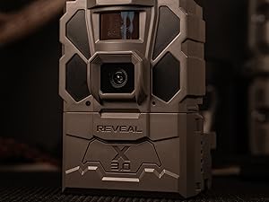 231