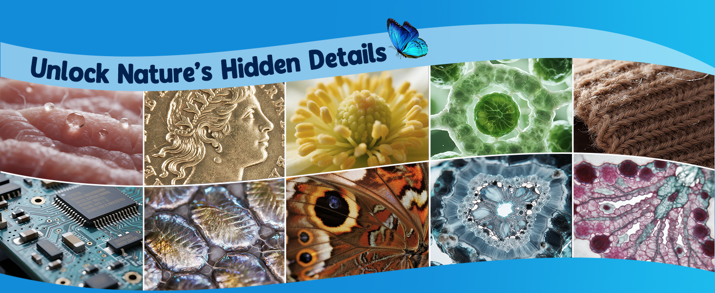 can observe skin coin flower chip pet insect plants leaf cell crystal fabric hair pollen tree bark