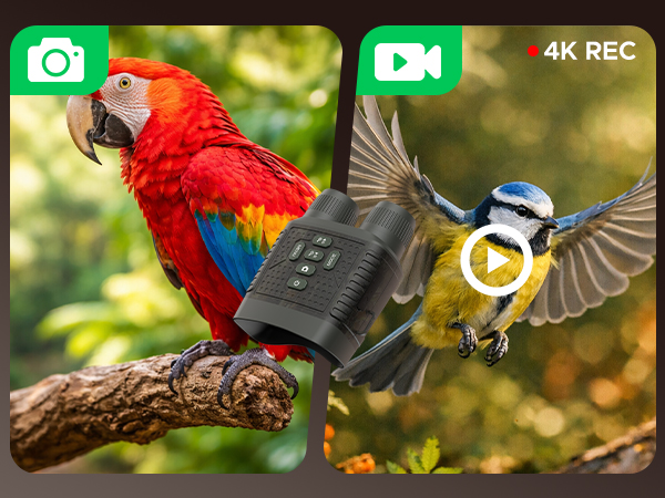 night vision goggles