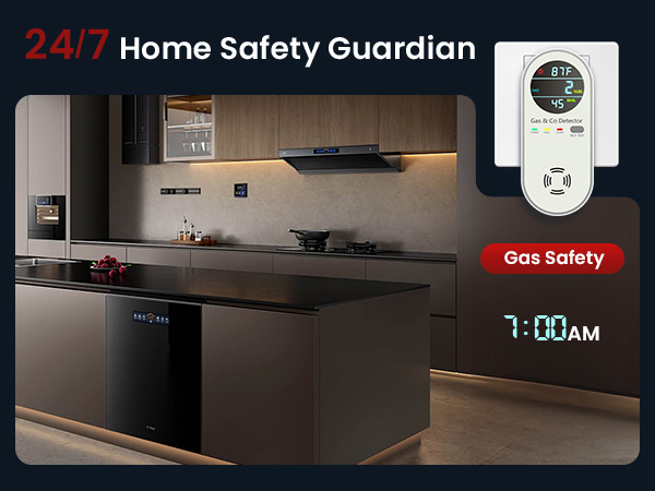 carbon monoxide detectors