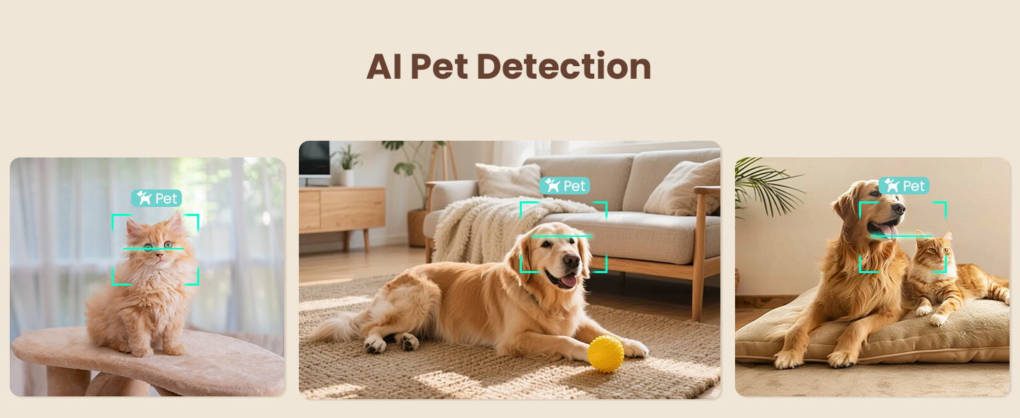 dog camera with phone app