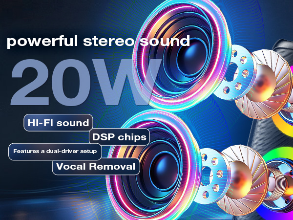 karaoke machine for adult