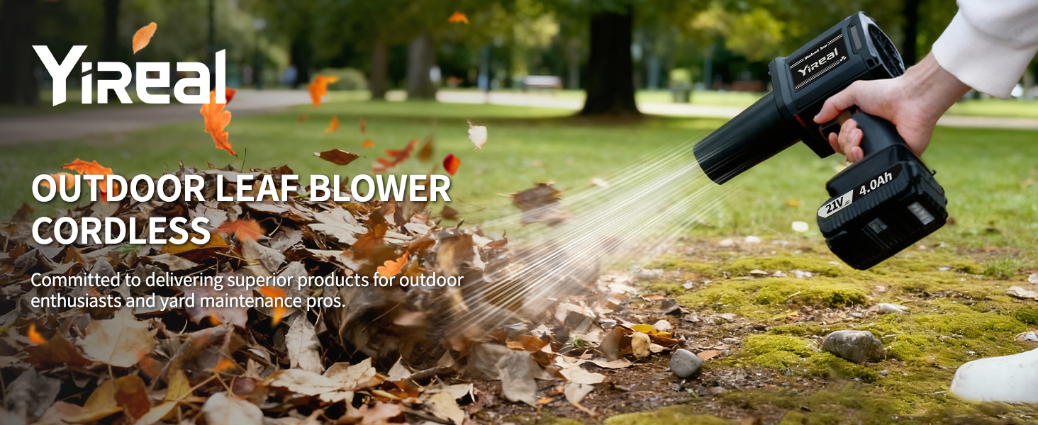 small leaf blower cordless