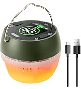 GasDoc DS-X1 Portable Carbon Monoxide Detector with Ambient Light, CO Detector with Magnetic Moun...