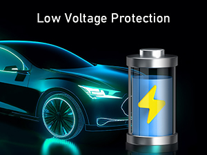 Range Tour Dash Cam Hardwire Kit Mini USB