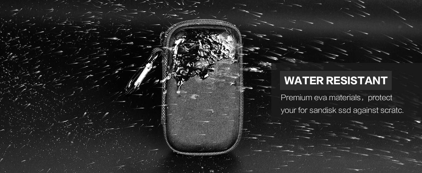 Carrying case for sandisk pro ssd