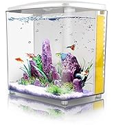 1.2Gallon Betta Aquarium Starter Kits Square Fish Tank with LED Light and Filter Pump
