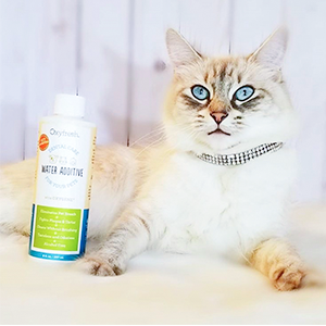 Our cat dental water solution makes caring for your cat’s teeth easy – just add to bowl or fountain.