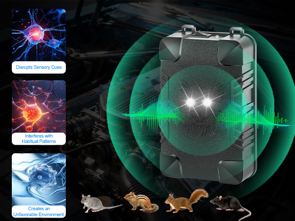 car mouse repellent