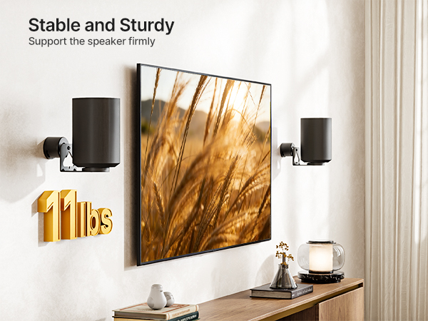 Weight Capacity 11lbs