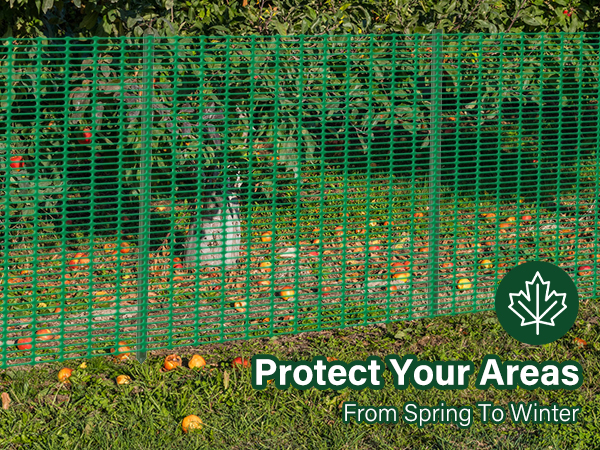 garden fence