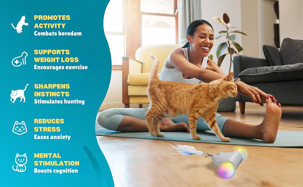 indoor cat toys mice feather electric must haves smart enrichment exercise stuff for cats