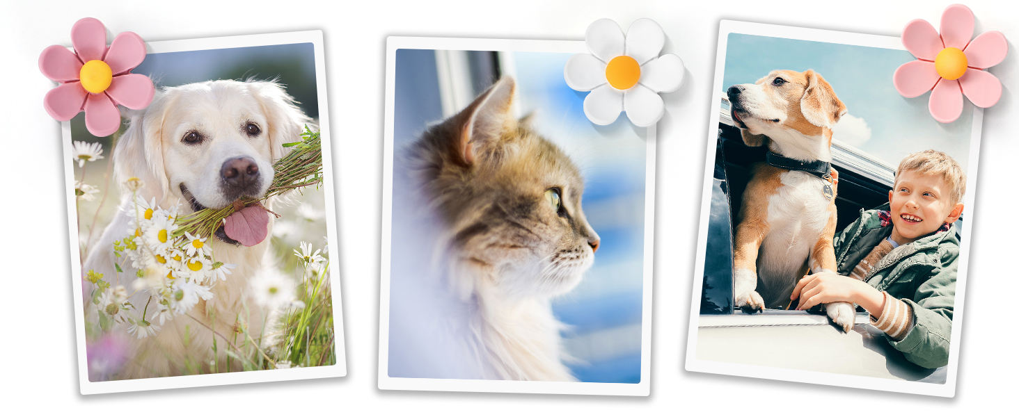 thumb tacks for wall