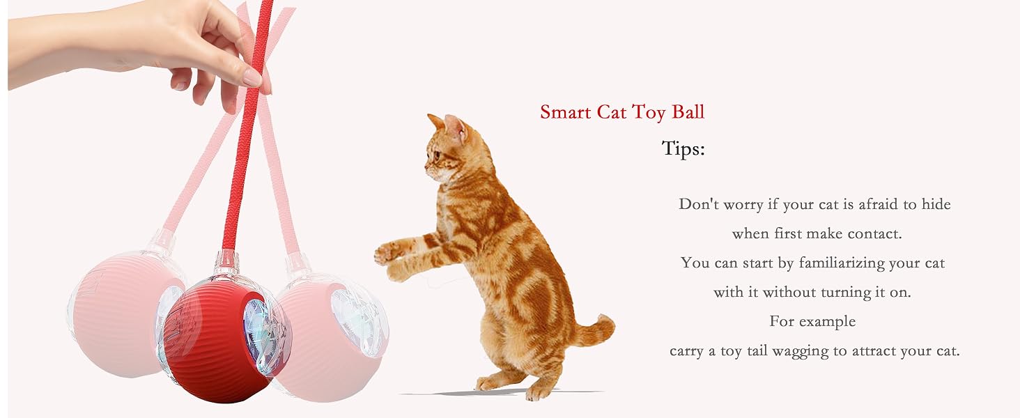 cat toy ball