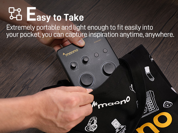 USB Audio Interface PS22 Lite