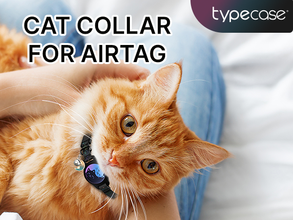 Cat Collar