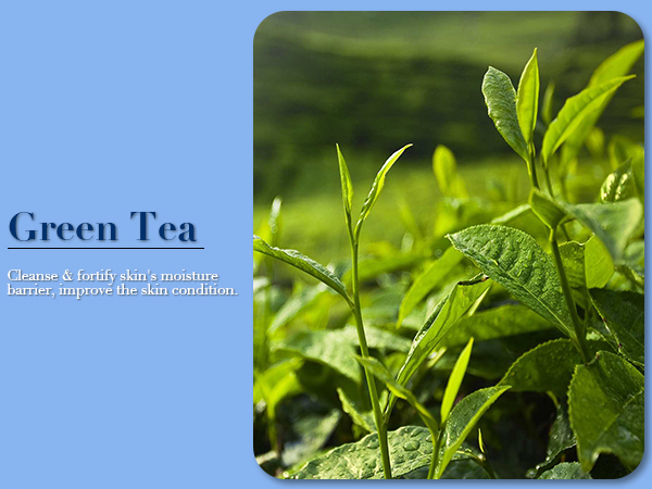 Green Tea
