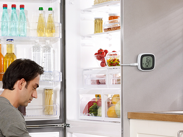 Refrigerator Thermometer