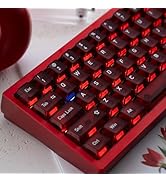 GUUKEY Frosted Translucent Keycaps Set, Red Crystal Clear 115 Keys Cherry Profile Top Frosted 4-S...