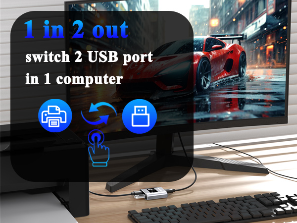 USB Switch 2 Computer