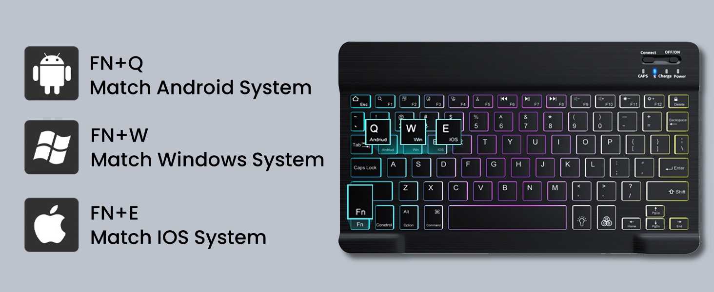 System