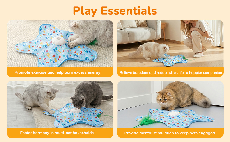 Cat Hunting Toys