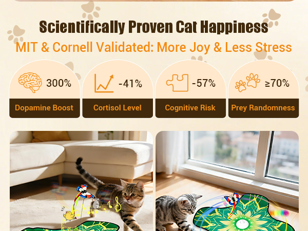 cat toys for indoor cats
